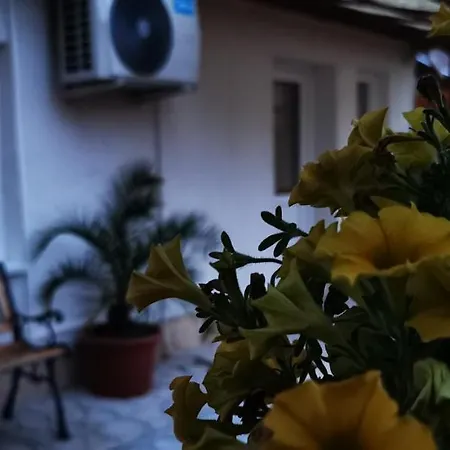 Meggyfa Vendeghaz Privat bolig Hajdúszoboszló